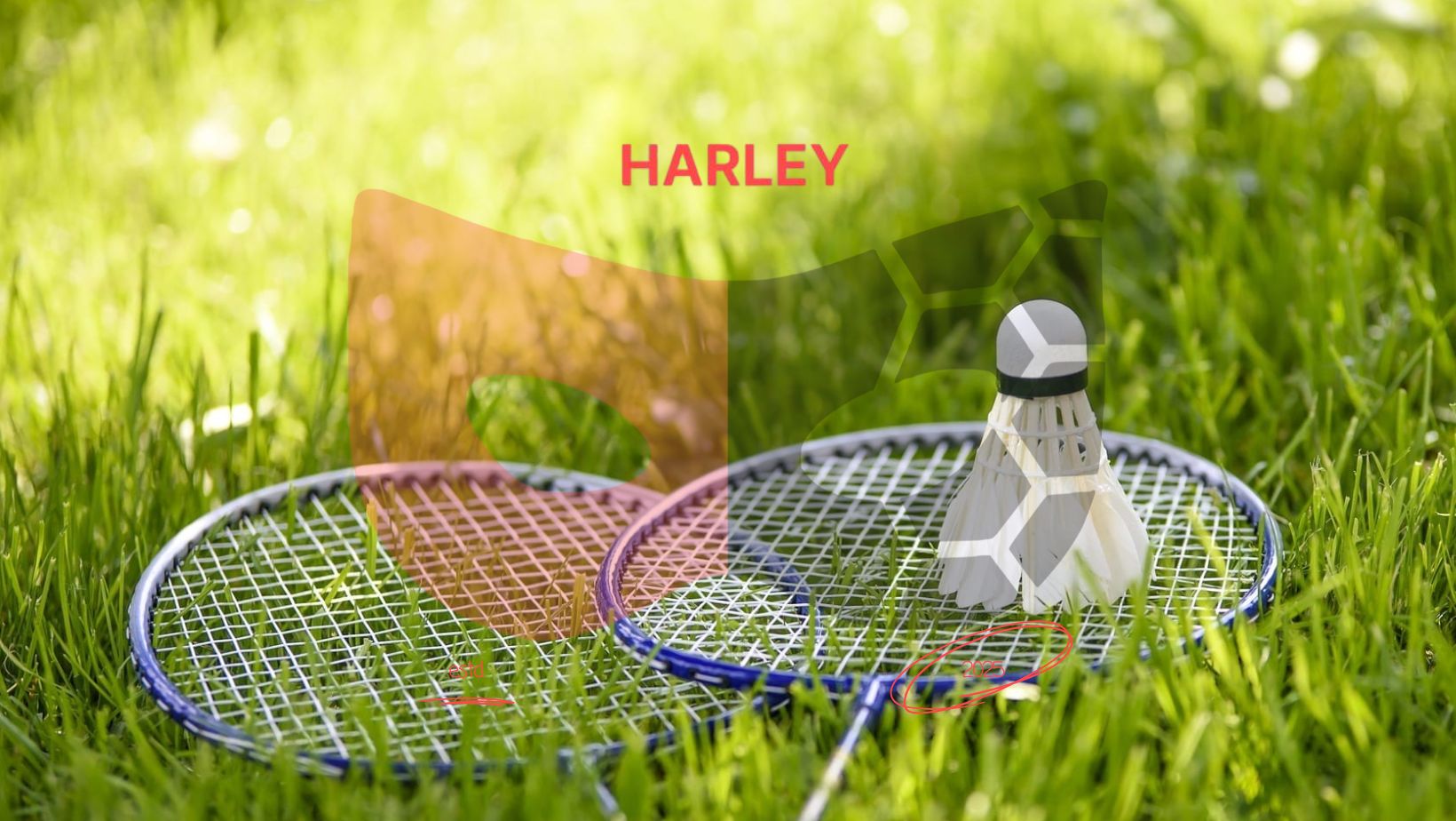 Woo F . Sport Badminton Club