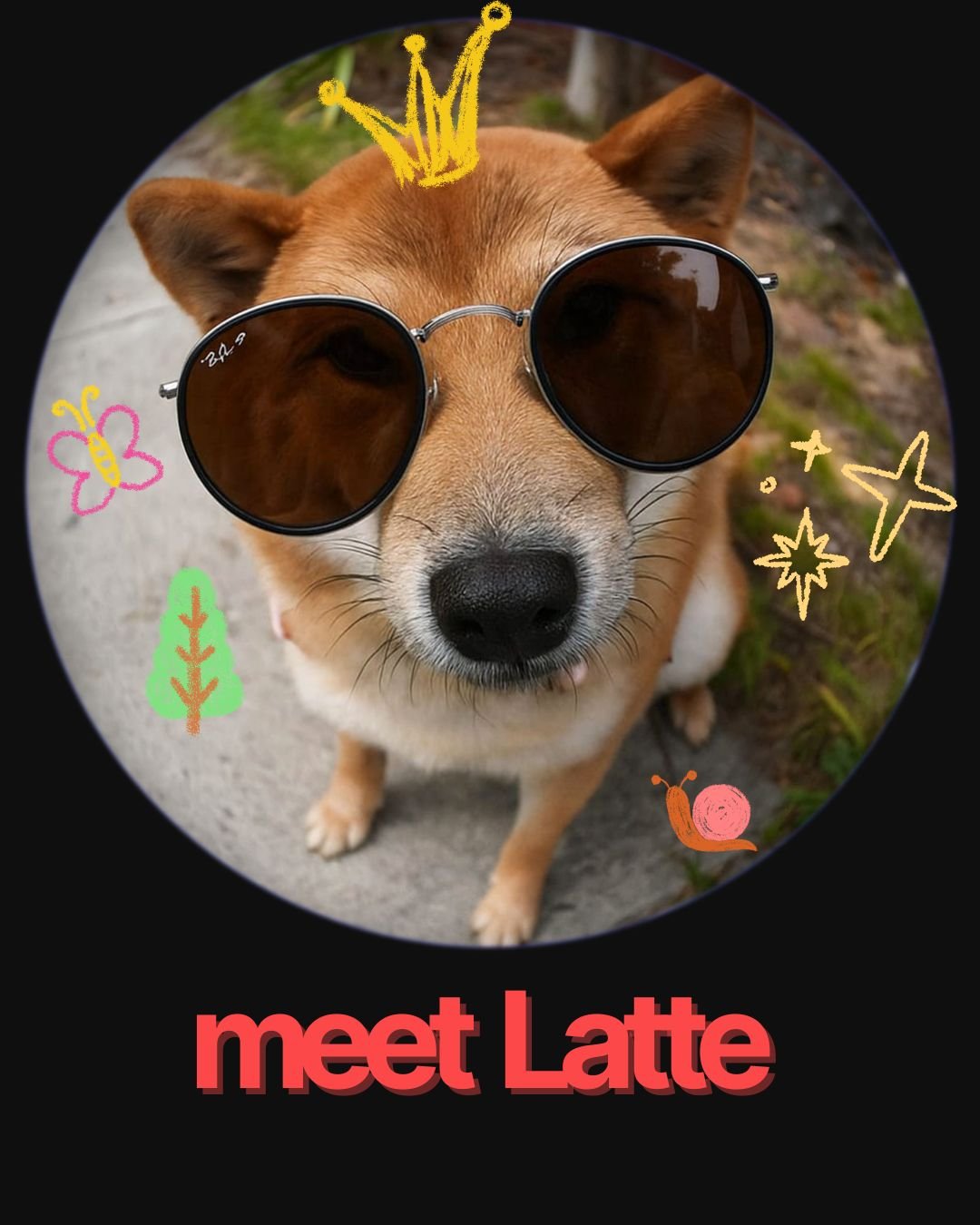Latte - Chief Morale Officer